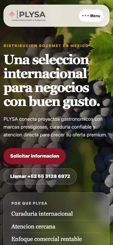 Sitio publicado de PLYSA